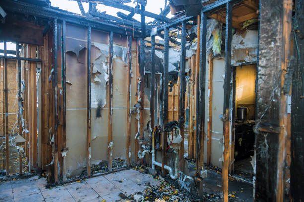 Professional Soot Cleanup technician working in Fort Thomas, KY